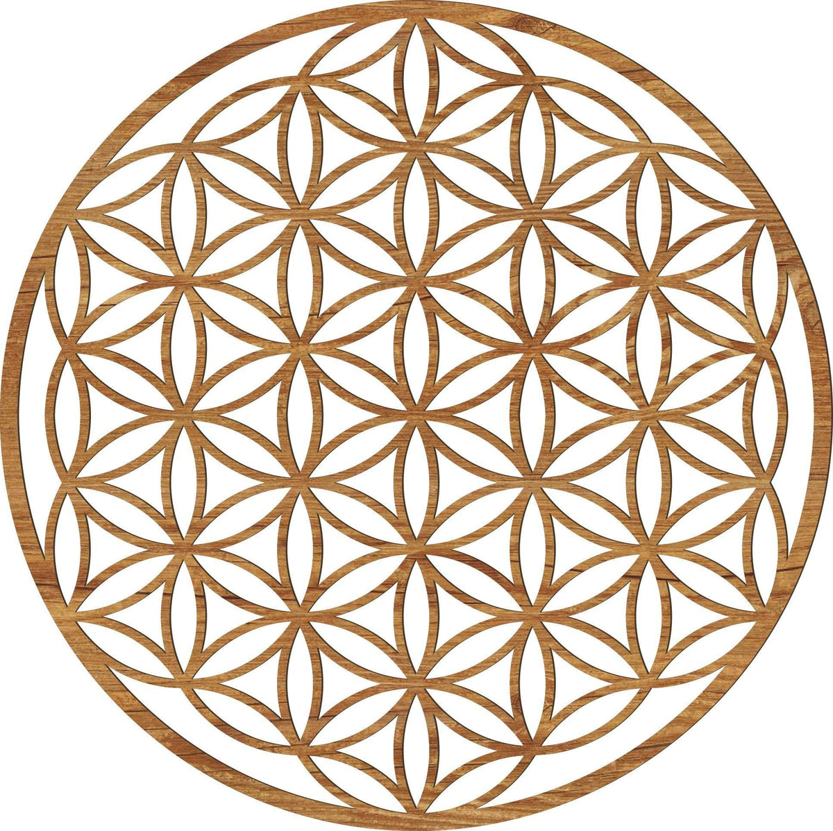 Blume des Lebens Holz Wandbild in Rustikal-Optik an der Wand